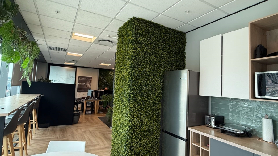 To Let commercial Property for Rent in Cape Town City Centre Western Cape